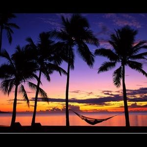 Meet your Posher, Fonissa